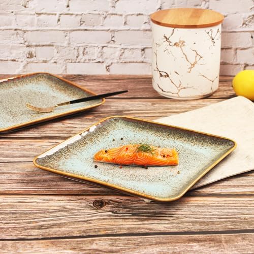 Ceramic Dinner Plates Dish Set, Set of 4, for Lunch snacks -Microwave Oven & Dishwasher Safe, Scratch Resistant, alternate