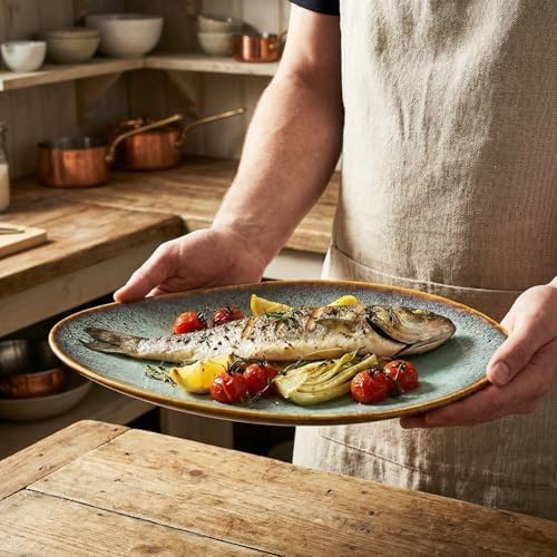 Ceramic Dinner Plates Set of 4, for Bread, Pasta, Salad, sushi - Microwave, Oven and Dishwasher Safe, Scratch, alternate view