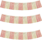 Champagne Rose Gold Garland Banner 30ft Wall Tinsel Foil Streamers in Rose Champagne Gold