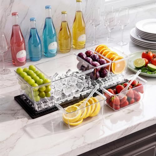 Chilled Condiment Server Caddy, 5 Compartment Ice Cooled Serving Container, Plastic Fruit Garnish Tray Platter, alternate