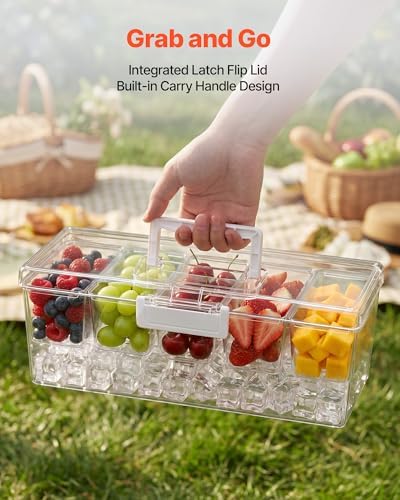 Chilled Condiment Server Caddy, 5 Compartment Ice Cooled Serving Container, Plastic Fruit Garnish Tray Platter, alternate