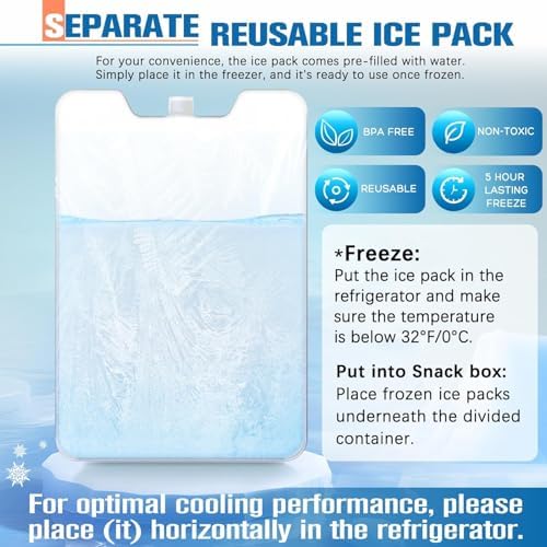 Chilled Portable Snackle Box Container, Beach Essentials for Summer, Divided Serving Tray with Reusable Ice Pack, alternate