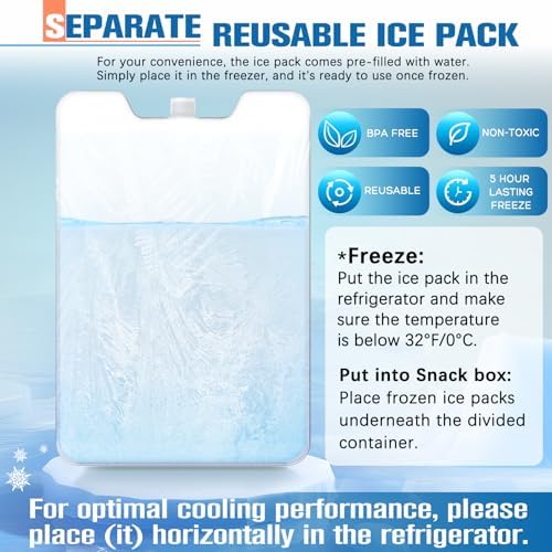 Chilled Portable Snackle Box Container with Ice Pack, Beach Essentials for Summer, Divided Serving Tray with, alternate view