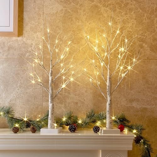 Christmas Decorations, 2FT Birch Tree with LED Lights, Warm White Light up Tree Lamp, Artificial Trees for Home