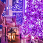 Connectable 91.5ft 250 LED Purple Halloween String Lights Indoor, alternate view 5