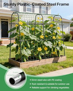 Cucumber Trellis for Raised Bed 63" x 63" U-Shaped Metal in Black, alternate view 3