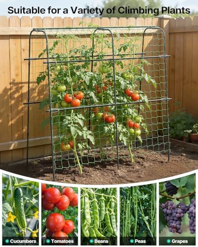 Cucumber Trellis for Raised Bed 63" x 63" U-Shaped Metal in Black, alternate view 7