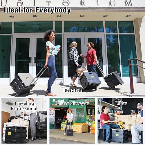 dbest Products Quik Cart Standard Collapsible Rolling Crate - Gray Lid, alternate view 6