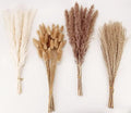 Dried Pampas Grass Decor, 100 Stems Pampas Grass Contains Bunny Tails Dried Flowers, Reed Grass Bouquet for