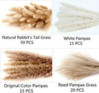 Dried Pampas Grass Decor, 100 Stems Pampas Grass Contains Bunny Tails Dried Flowers, Reed Grass Bouquet for, alternate view 5