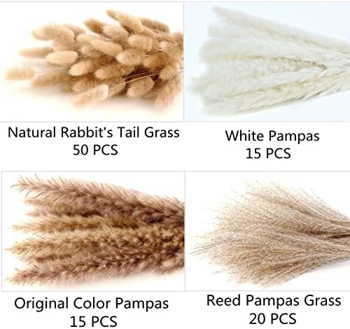 Dried Pampas Grass Decor, 100 Stems Pampas Grass Contains Bunny Tails Dried Flowers, Reed Grass Bouquet for, alternate view 5