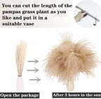 Dried Pampas Grass Decor, 100 Stems Pampas Grass Contains Bunny Tails Dried Flowers, Reed Grass Bouquet for, alternate view 6