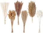 Dried Pampas Grass Decor, 120 PCS Pampas Grass with Bunny Tails Dried Flowers, Reed Grass Bouquet for Wedding
