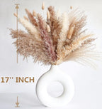 Dried Pampas Grass Decor, 120 PCS Pampas Grass with Bunny Tails Dried Flowers, Reed Grass Bouquet for Wedding, alternate view