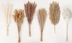 Dried Pampas Grass Decor, 120 PCS Pampas Grass with Bunny Tails Dried Flowers, Reed Grass Bouquet for Wedding, alternate view