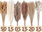 Dried Pampas Grass Decor, 120 PCS Pampas Grass with Bunny Tails Dried Flowers, Reed Grass Bouquet for Wedding, alternate view