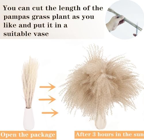 Dried Pampas Grass Decor, 128PCS Pampas Grass with Bunny Tails Dried Flowers, Reed Grass Bouquet for Wedding, alternate view