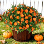 Fall Artificial Mums Flowers for Outdoors Planter Fake Plants 6 PCS, alternate view 5