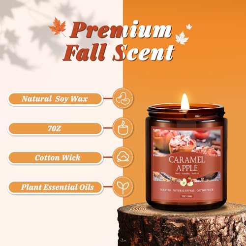 Fall Candle, Caramel Apple Scented Candles for Home, Natural Soy Autumn Candle Aromatherapy Candle, 7 oz Jar, alternate view
