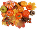 Fall Decorations for Home Mini Pumpkins Gourds & Leaves Set