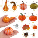 Fall Decorations for Home Mini Pumpkins Gourds & Leaves Set, alternate view 3