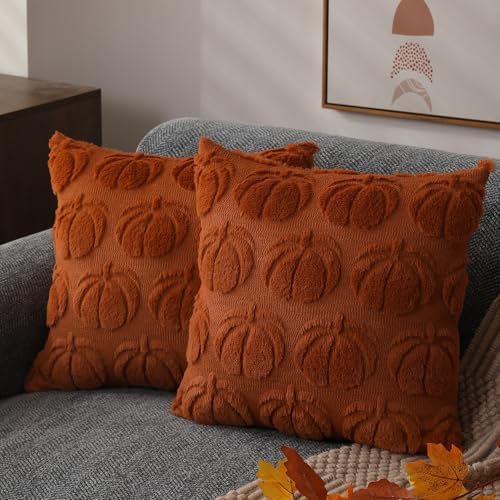 Fall Pillow Covers 18x18 Set of 2 Fall Decorations Autumn Rust Pumpkin Throw Pillow Cases Soft Plush Faux Fur