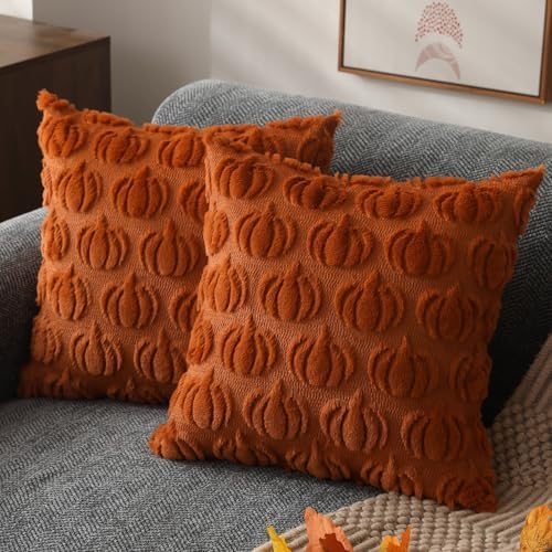 Fall Pillow Covers 26x26 2Pcs Rust Pumpkin Fall Decorations for Home