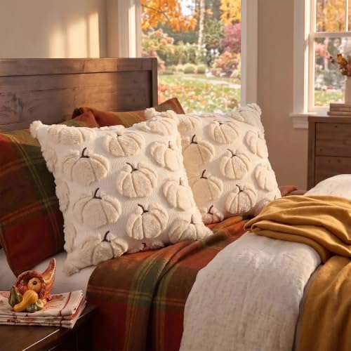 Fall Pillow Covers Pumpkin Fall Decor 16x16 Set of 2 Beige, alternate view 5