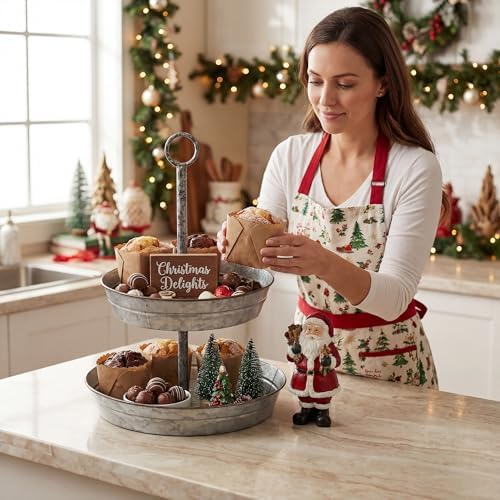 Farmhouse 2 Tiered Galvanized Serving Tray Stand with Carry Handle, Rustic Metal Display Tray for Cupcake, alternate view 7