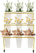 Flower Display Stand With Wheels, 3 Layers Plant Cart with 9PCS Buckets, Heavy Duty Moving Flower Rack for
