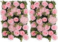 Flower Wall Backdrop 2 Panels 24x16 Inch Hot Pink in 24x16 Inch in Pink Rose