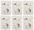 Flower Wall Backdrop 6 Panels 16×24 Inch - Ivory White Rose in 16×24 Inch