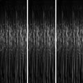 Foil Fringe Backdrop Curtains, 3.3x6.6ft, Black, 3pcs in 3.3x6.6ft in Black