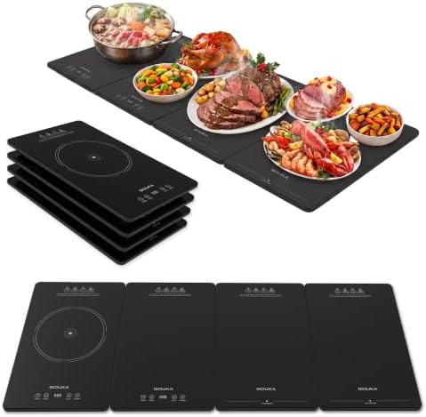 Food Warmers for Parties Buffet Electric Warming Tray(Black-611068) in Black