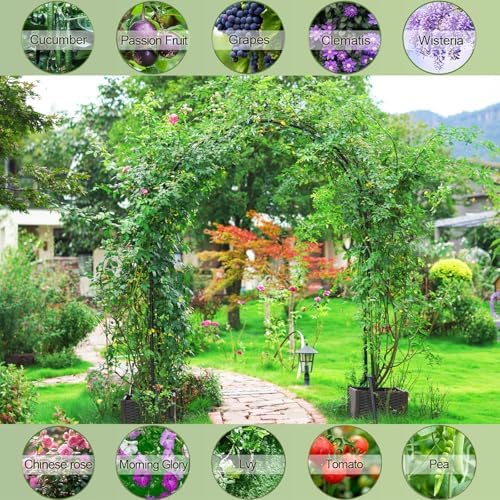 Garden Arbor Arch, Rustproof PE-Coated Metal Trellis for Climbing Plants in Black, alternate view 7