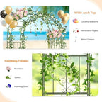 Garden Arbor, Double Layer Arch Archway for Wedding Ceremony Party, Steel Garden Trellis for Plant Climbing, alternate view 5