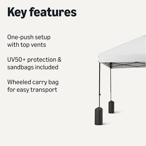 Gazebo with Cover & Sandbag, 10ft x 10ft, White in White, alternate view 3
