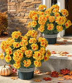 Geraniums Artificial Flowers for Outdoors, 2 Pack Potted Plants Faux Geraniums Bush Artificial Topiaries