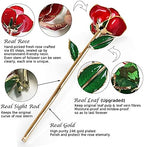 Gold Dipped Infinity Rose - Eternal Resin-Preserved Rose | Forever Flower Decor for Birthdays, Mother’s Day, alternate view 2