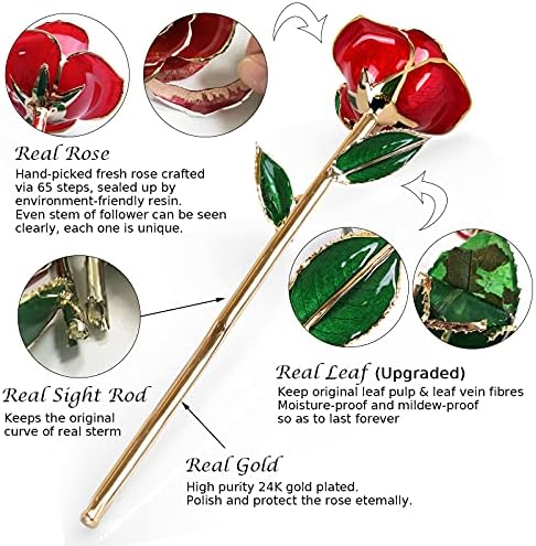 Gold Dipped Infinity Rose - Eternal Resin-Preserved Rose | Forever Flower Decor for Birthdays, Mother’s Day, alternate view 2