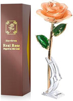 Gold Dipped Infinity Rose Forever Flower Decor, Resin Preserved Real Rose Birthday Gift for Women, Anniversary