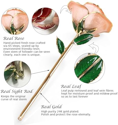 Gold Dipped Infinity Rose Forever Flower Decor, Resin Preserved Real Rose Birthday Gift for Women, Anniversary, alternate