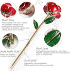 Gold Dipped Infinity Rose Forever Flower Decor, Resin Preserved Real Rose Birthday Gift for Women, Anniversary, alternate