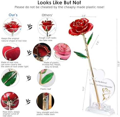 Gold Dipped Infinity Rose Forever Flower Decor, Resin Preserved Real Rose Birthday Gift for Women, Anniversary, alternate