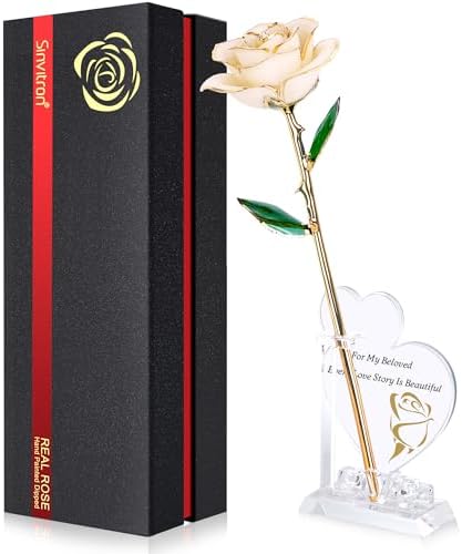 Gold Dipped Infinity Rose Forever Flower Decor, Resin Preserved Real Rose Birthday Gift for Women, Anniversary