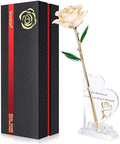 Gold Dipped Infinity Rose Forever Flower Decor, Resin Preserved Real Rose Birthday Gift for Women, Anniversary