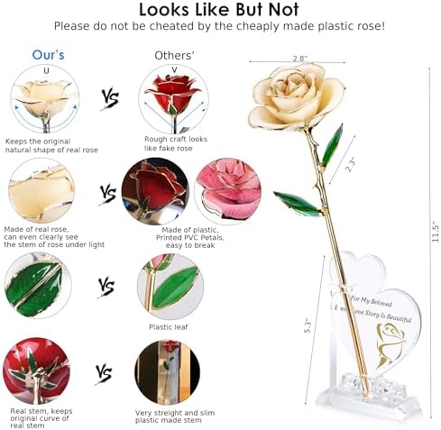 Gold Dipped Infinity Rose Forever Flower Decor, Resin Preserved Real Rose Birthday Gift for Women, Anniversary, alternate