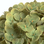 Green Hydrangea Artificial Flowers, 21" Real Touch Hydrangea Flowers, Faux Hydrangea Flowers Outdoor, Latex, alternate view 2