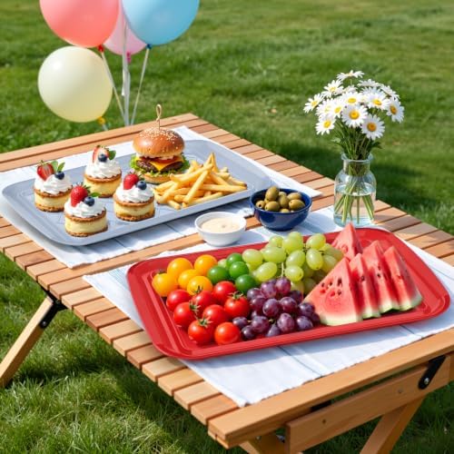 Grilling Prep & Serve Trays for Party- Set of 4, Large Serving Platters for Raw and Cooked Food, Dishwasher, alternate view 7