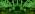 Halloween Lights Outdoor, Meteor Shower Christmas Lights for Halloween Decorations, 8 Tube 192 LED Snow Falling, alternate